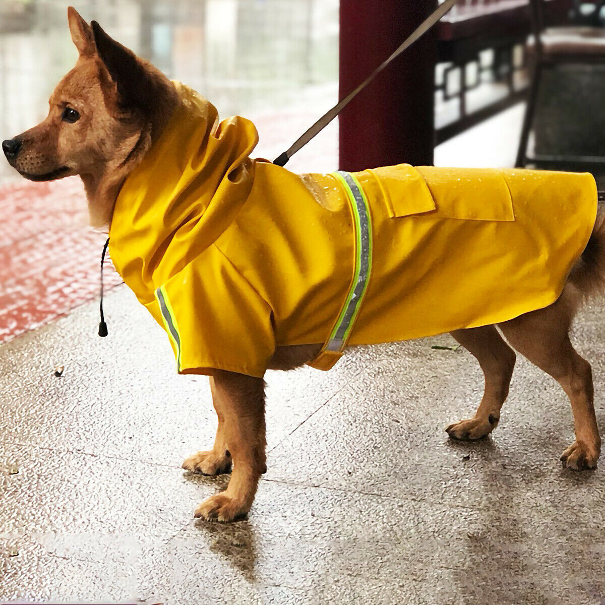 Hunderegenmantel, wasserdichte Hunderegenjacke mit reflektierenden Sicherheitsstreifen, Slicker-Dackel-Hundeponcho mit Kapuze und Leine für Hunde und Welpen