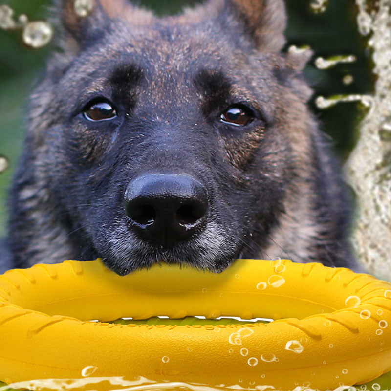 Zugring für Trainingsspielzeug für Hunde