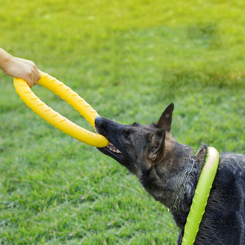 Zugring für Trainingsspielzeug für Hunde