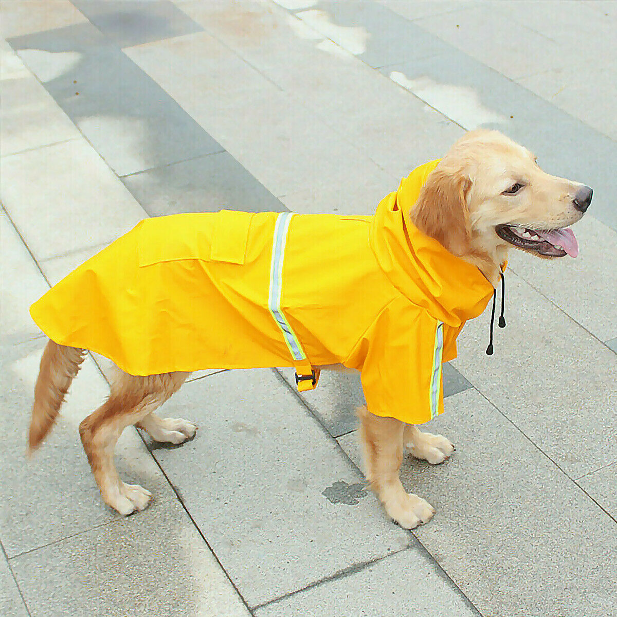 Hunderegenmantel, wasserdichte Hunderegenjacke mit reflektierenden Sicherheitsstreifen, Slicker-Dackel-Hundeponcho mit Kapuze und Leine für Hunde und Welpen