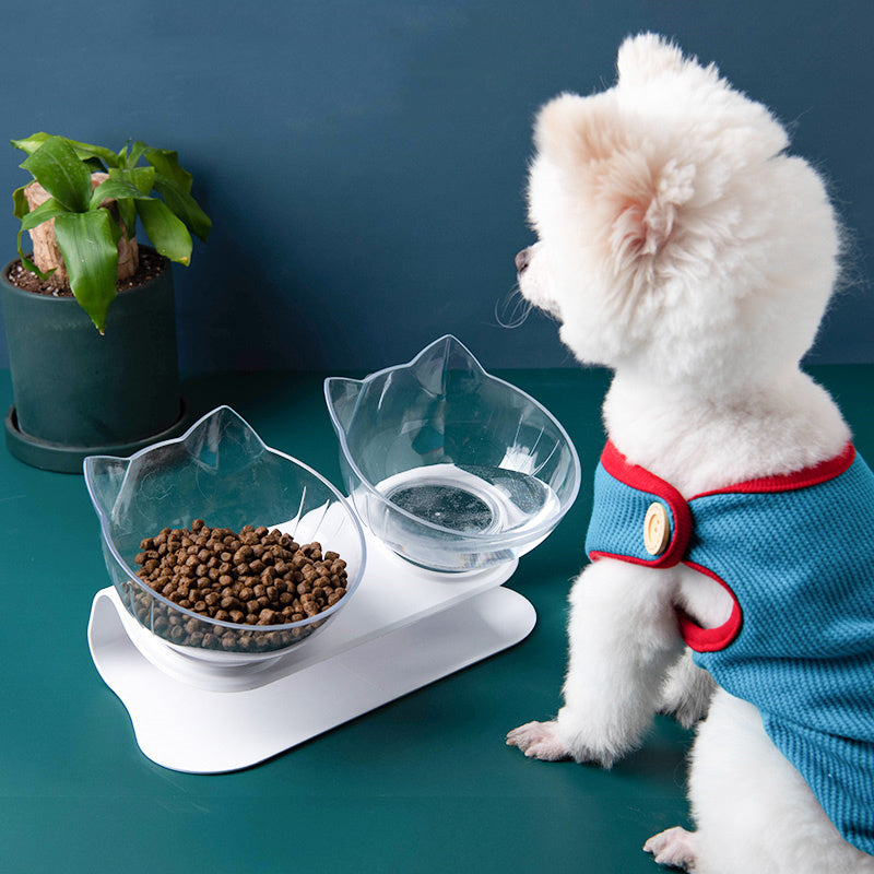 Inclined Food Pet Bowl